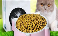 便宜好一点的猫粮