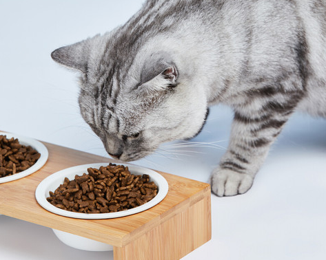 猫粮排行榜前十名有哪些