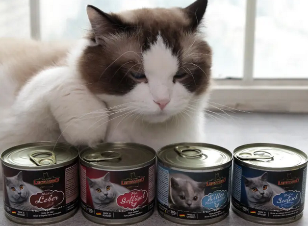 猫咪罐头怎么做