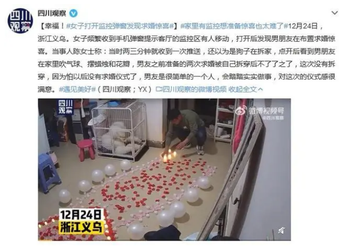 独居神器,养猫必备?家用监控能带来安全感吗? 独居神器,养猫必备?家用监控能带来安全感吗?