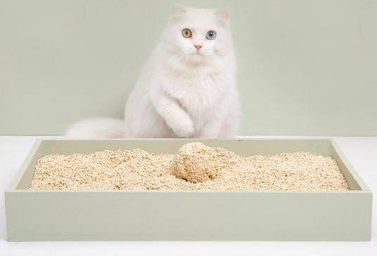 猫砂一般多少钱一斤