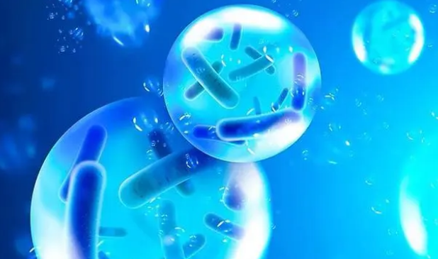 硝化细菌的作用以及培养方法 硝化细菌的作用以及培养方法