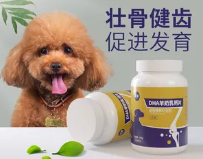 宠物能吃人的钙片吗