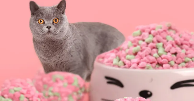 猫砂的保质期一般是多长时间 猫砂的保质期一般是多长时间