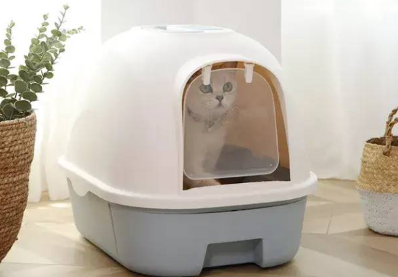 10l猫砂是多少斤