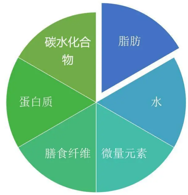 猫咪营养膏，看起来好神奇，真的有必要买吗？