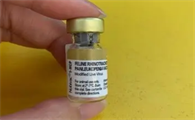 英特威猫三联