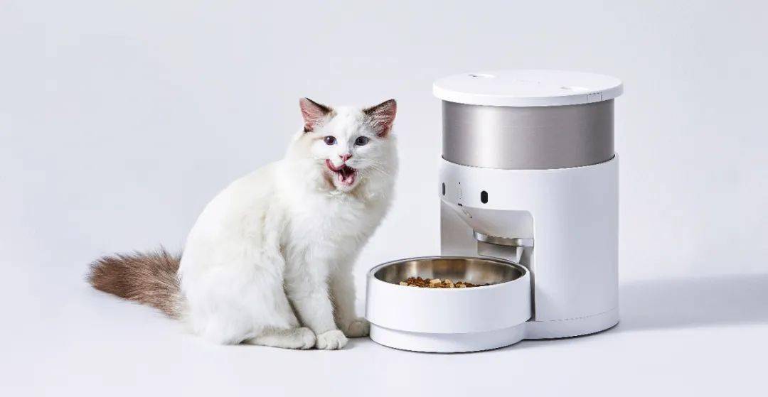 宠物喂食器哪里卖