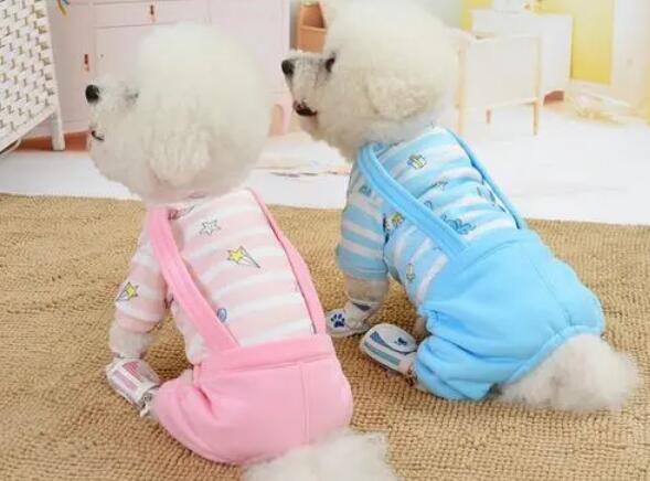 小狗衣服在哪买 小狗衣服在哪买