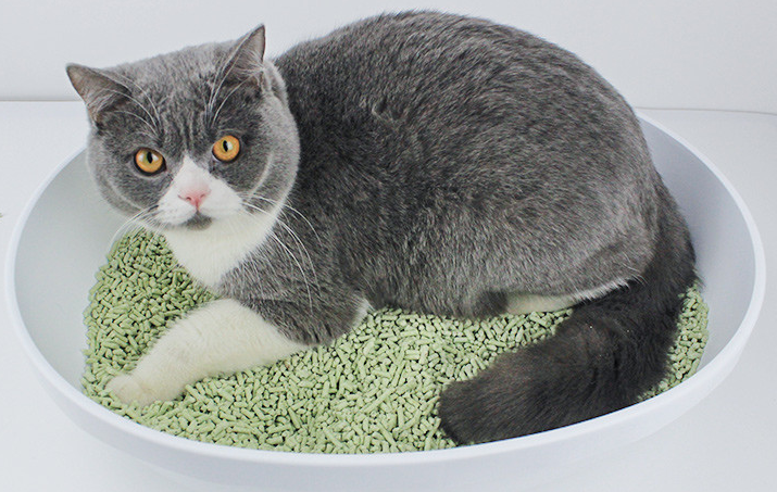 10kg猫砂等于多少升