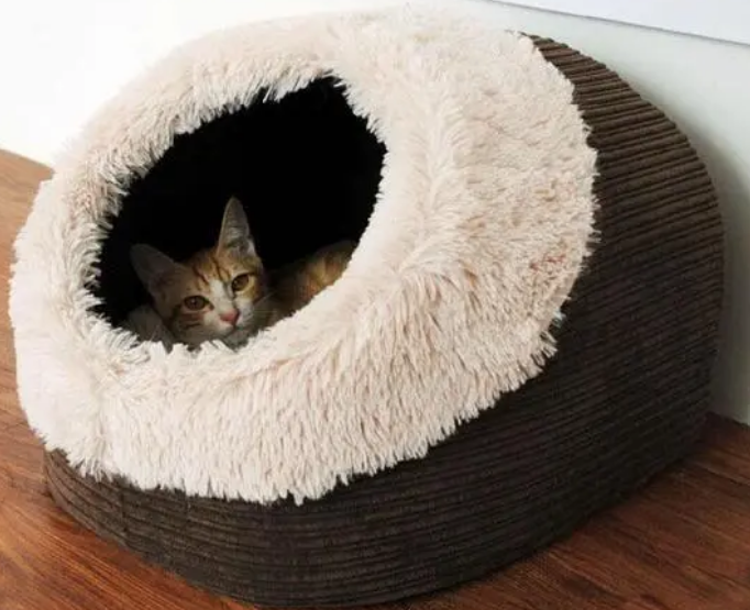 猫咪窝多少钱 猫咪窝多少钱