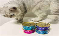 国产猫罐头哪个品牌好 国产猫罐头哪个品牌好