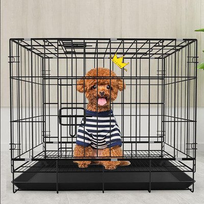 狗笼怎么上厕所 狗笼怎么上厕所