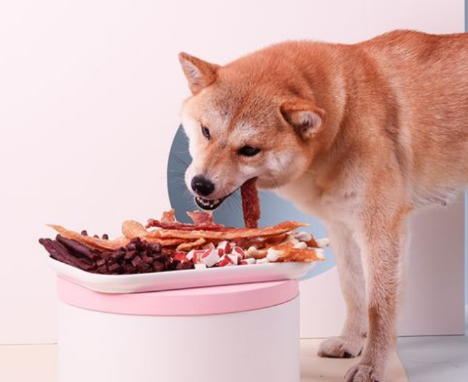 哪个品牌狗零食比较好