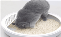 猫砂选什么好