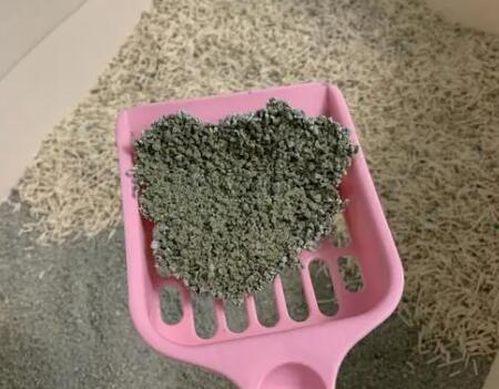 换新牌子的猫砂需要怎样