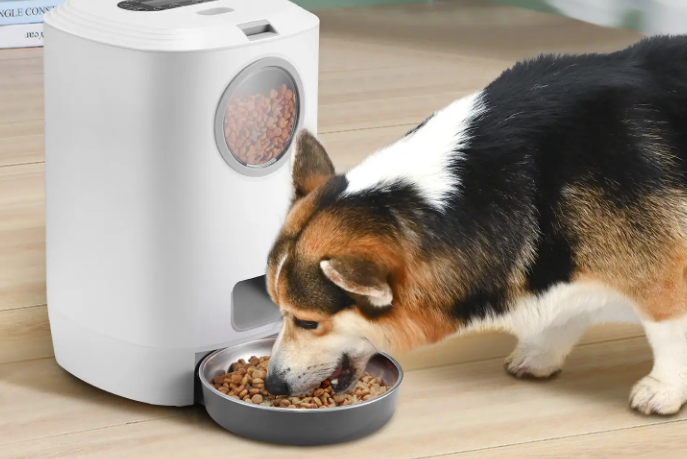 十大自动喂食器品牌