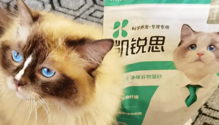 哪个牌子的猫砂好用又便宜 哪个牌子的猫砂好用又便宜