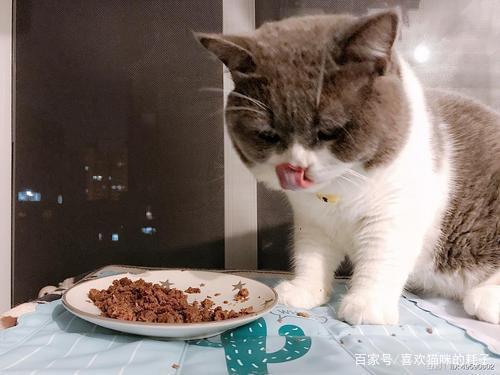 十大进口猫罐头排行 十大进口猫罐头排行