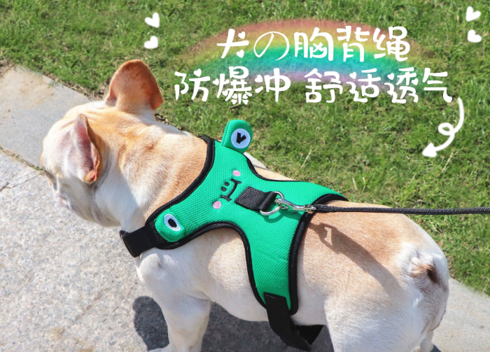 小狗胸背带佩戴方法 小狗胸背带佩戴方法