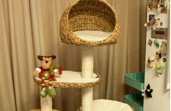 猫爬架应该怎么挑选呢? 猫爬架应该怎么挑选呢?