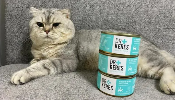 猫罐头可以拌猫粮吗 猫罐头可以拌猫粮吗