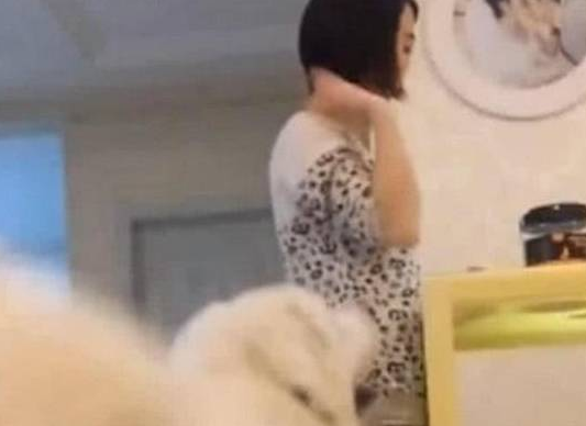 男主人到家一看忍不住醋意大发：枉费我天天喂你狗粮