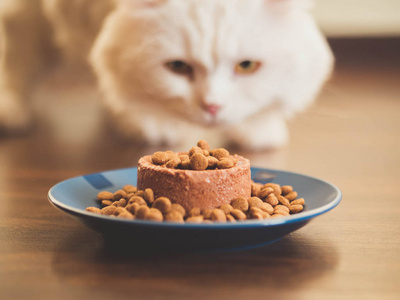 哪款猫罐头比较好