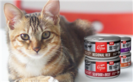 猫罐头什么口味的好