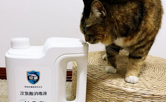 次氯酸消毒液可以喷宠物吗
