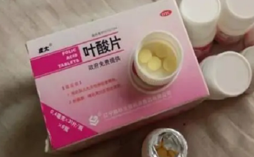 宠物叶酸片