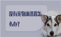 没有宠物沐浴露怎么办