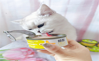 两个月小猫能吃罐头吗