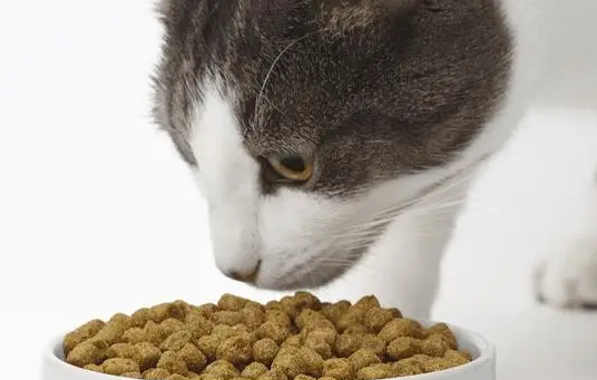 便宜和贵的猫粮的差别
