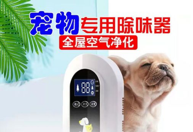 狗窝用什么消毒