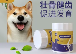 狗吃钙片有什么用 狗吃钙片有什么用
