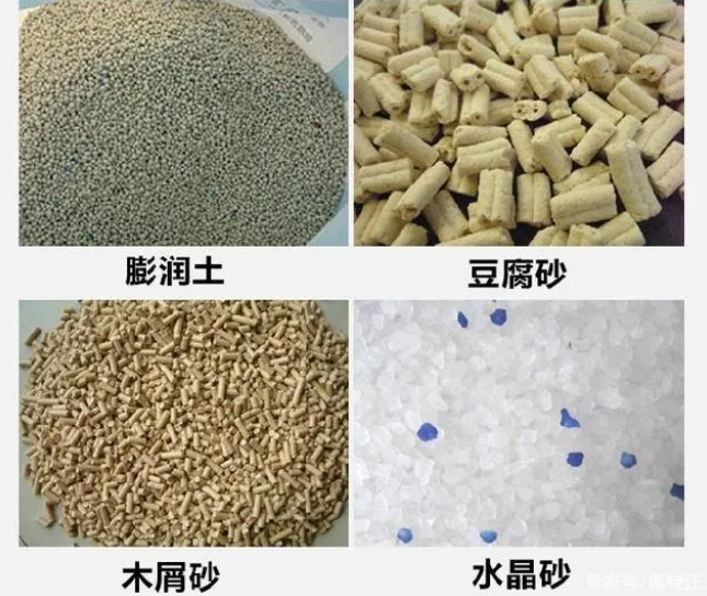 猫砂是普通的沙子吗