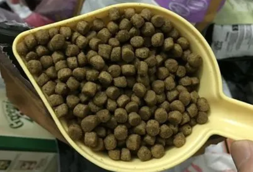 30克猫粮参照物