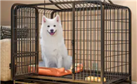 狗笼子什么颜色好看