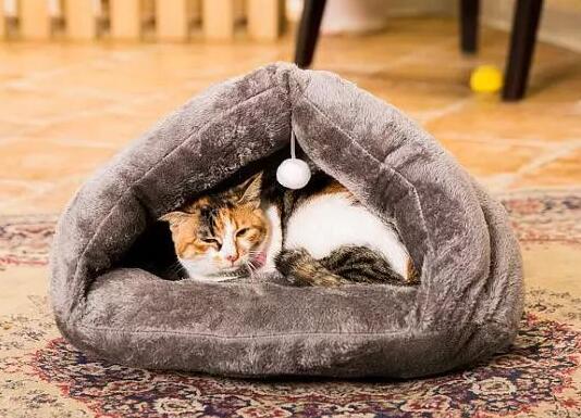 猫窝买什么样的比较好 猫窝买什么样的比较好