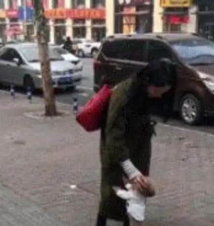 这只泰迪都已经五岁了，走累了还向主人求抱抱，谁还不是个宝宝呢