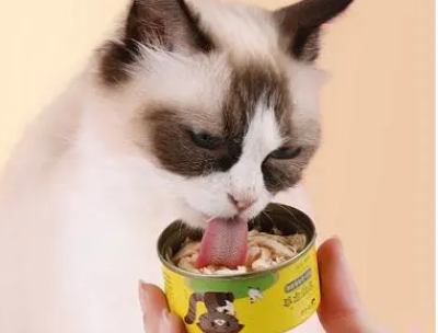 猫罐头单独吃还是拌猫粮