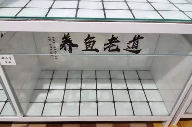 水草极易饲养，在鱼缸里可长成一片小树林