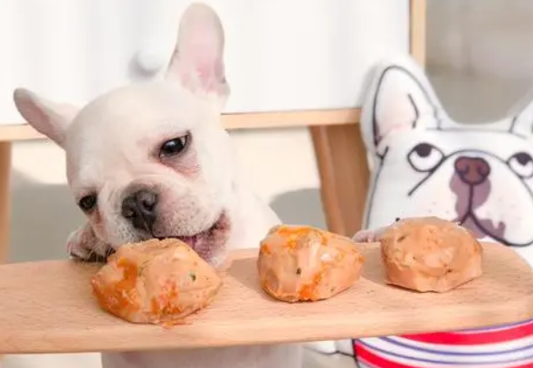 狗狗零食可以给什么 狗狗零食可以给什么