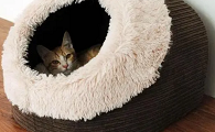 猫猫的窝怎么做