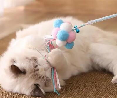 小猫玩具多少钱 小猫玩具多少钱