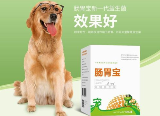 猫咪和狗狗的肠胃药一样吗