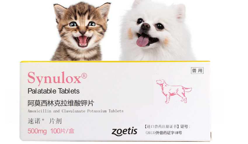 猫咪的消炎药是什么