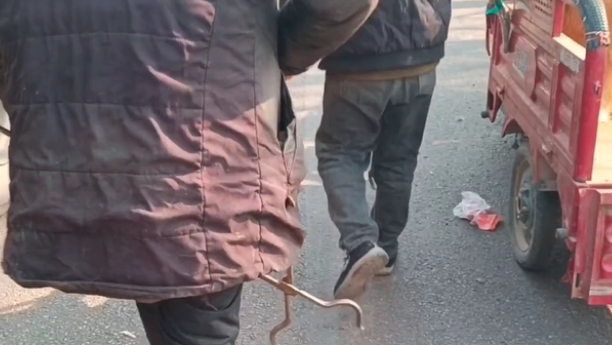 狗狗冲进来往车辆中,眼看狗狗逃脱,狗主仍不死心 狗狗冲进来往车辆中,眼看狗狗逃脱,狗主仍不死心
