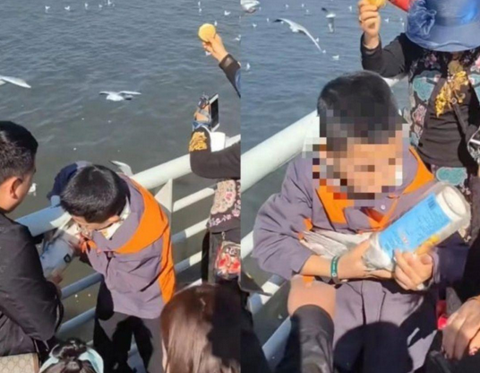 父母帮男孩抓海鸥强行塞进塑料罐，处理结果来了